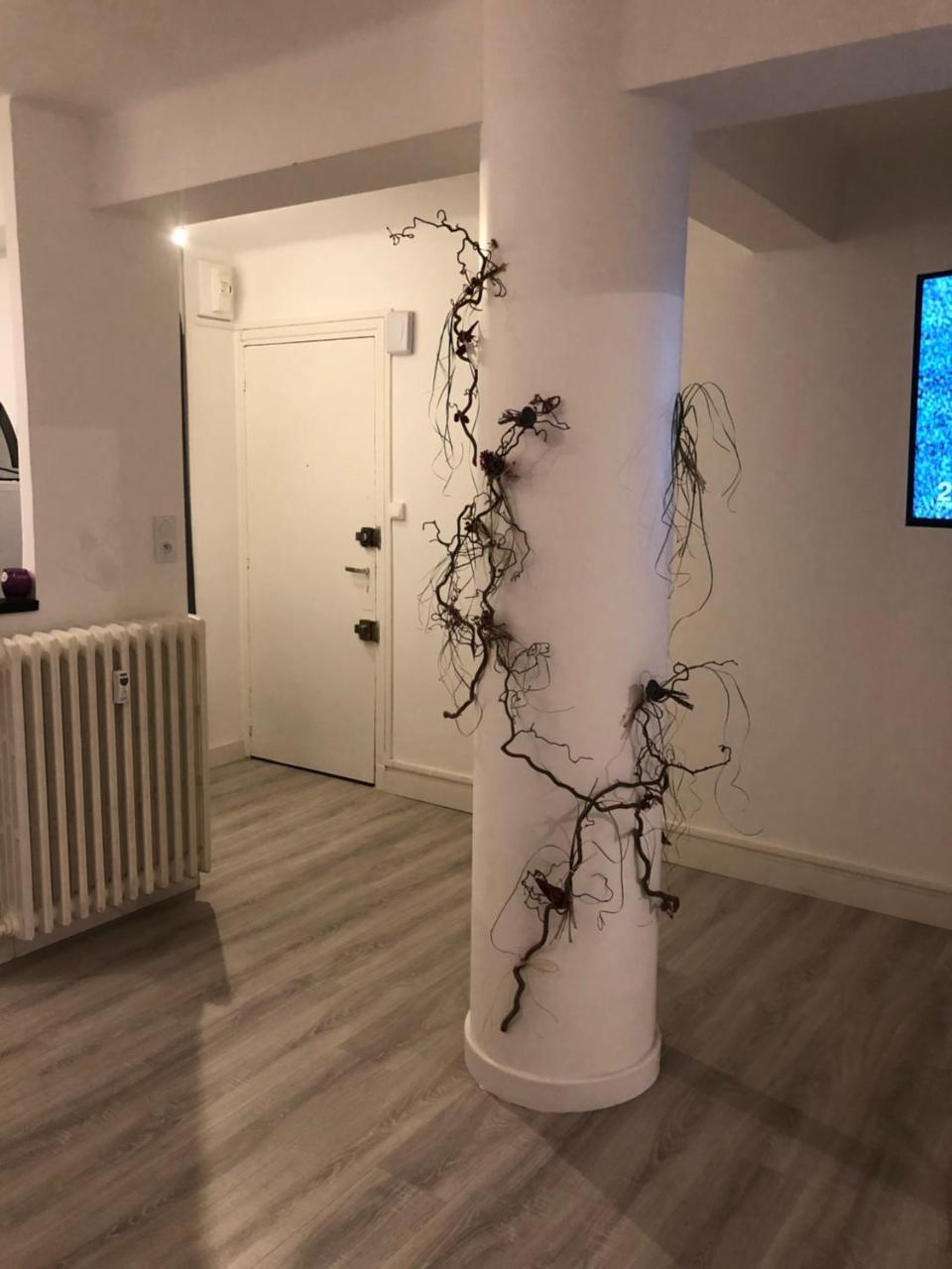 Dupuy T3 Aseptise Apartment Toulouse Exterior foto